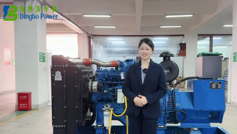 نحوه اضافه کردن سوخت، روغن و مایع خنک کننده به دیزل ژنراتور